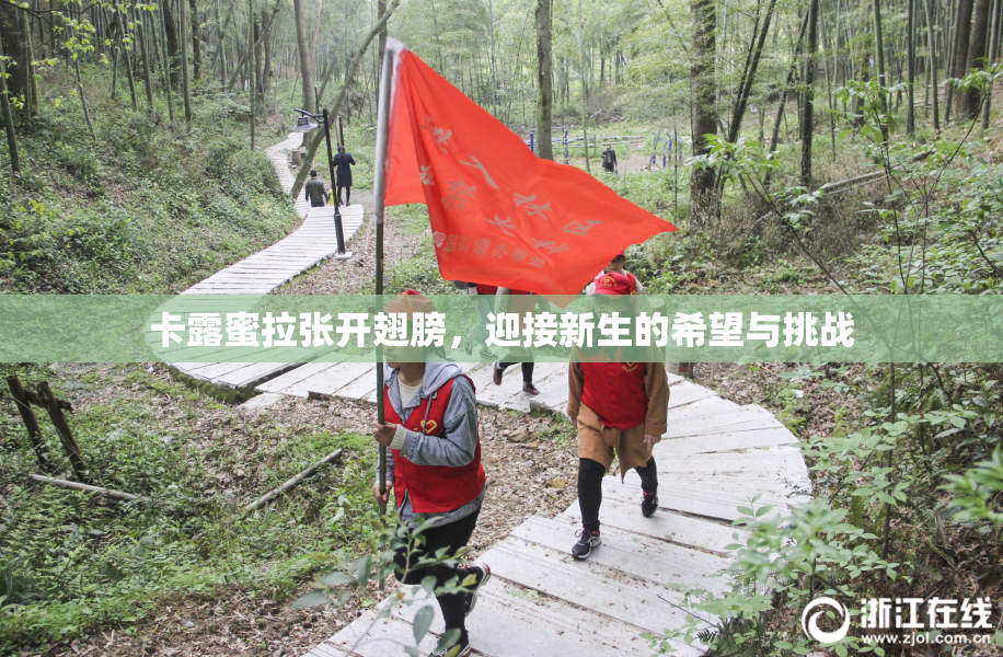卡露蜜拉张开翅膀，迎接新生的希望与挑战