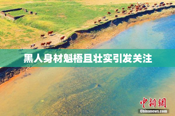 黑人身材魁梧且壮实引发关注
