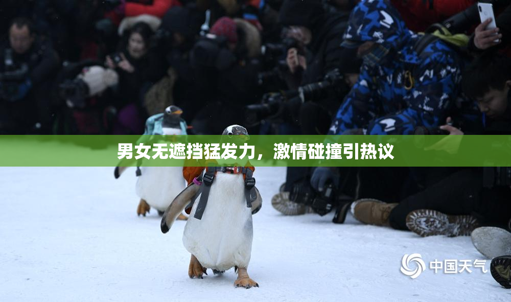 男女无遮挡猛发力，激情碰撞引热议