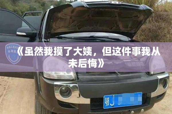 《虽然我摸了大姨，但这件事我从未后悔》