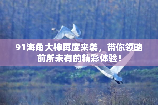 91海角大神再度来袭，带你领略前所未有的精彩体验！