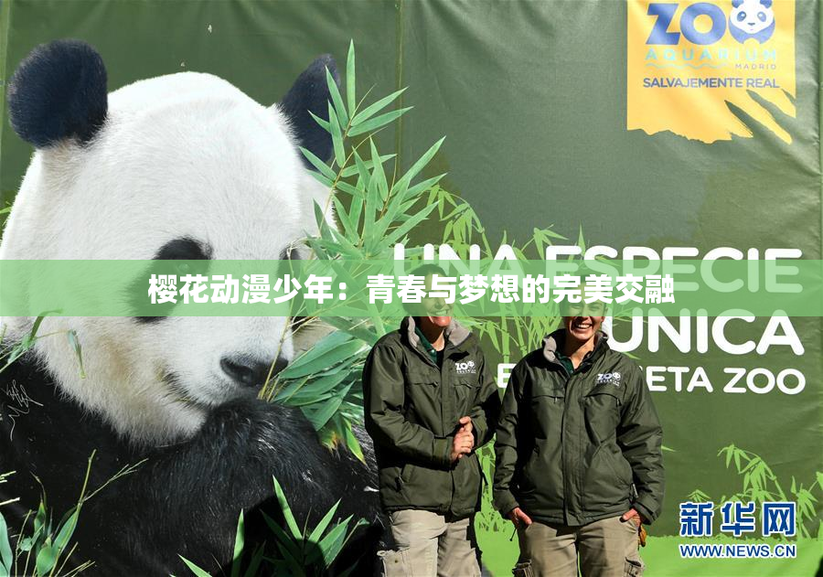 樱花动漫少年：青春与梦想的完美交融