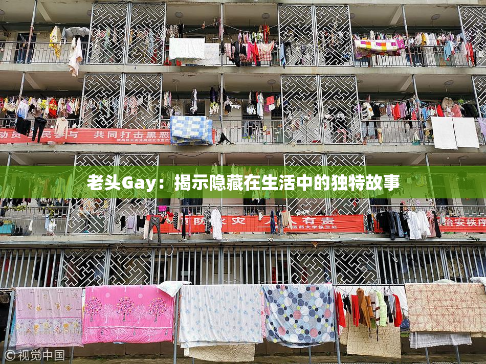 老头Gay：揭示隐藏在生活中的独特故事