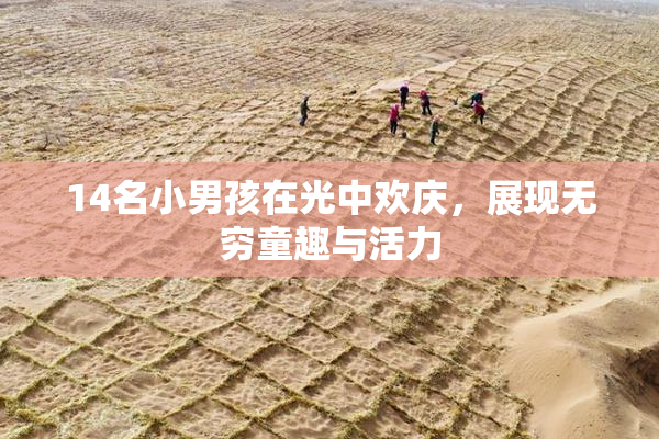 14名小男孩在光中欢庆，展现无穷童趣与活力