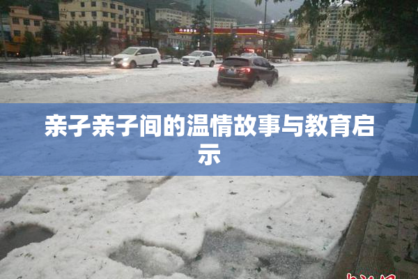 亲孑亲子间的温情故事与教育启示