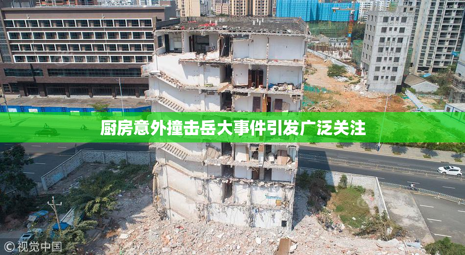 厨房意外撞击岳大事件引发广泛关注