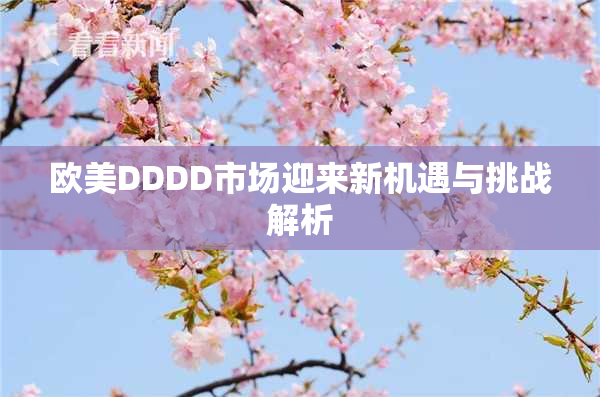 欧美DDDD市场迎来新机遇与挑战解析