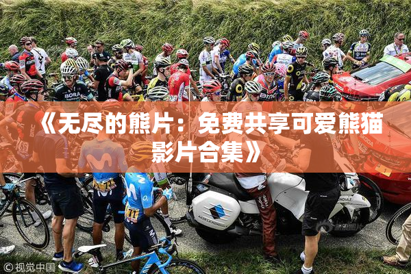 《无尽的熊片：免费共享可爱熊猫影片合集》