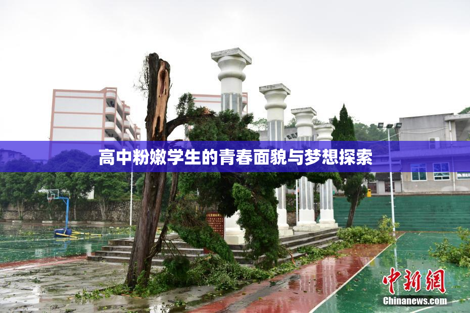 高中粉嫩学生的青春面貌与梦想探索