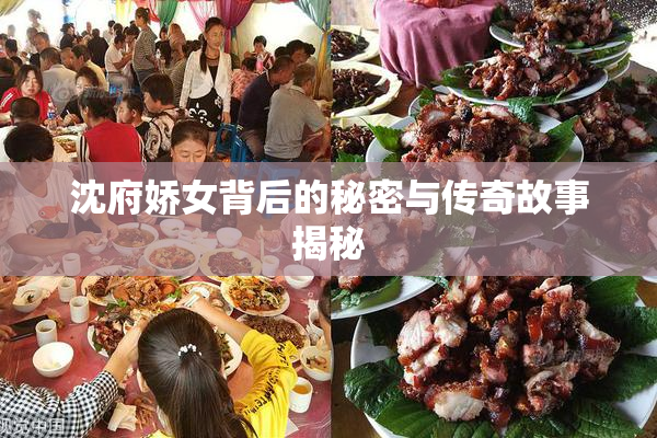 沈府娇女背后的秘密与传奇故事揭秘