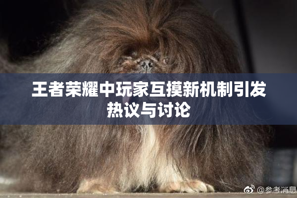 王者荣耀中玩家互摸新机制引发热议与讨论
