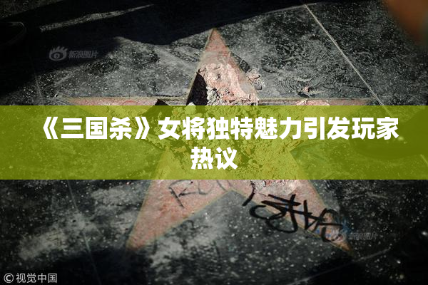 《三国杀》女将独特魅力引发玩家热议