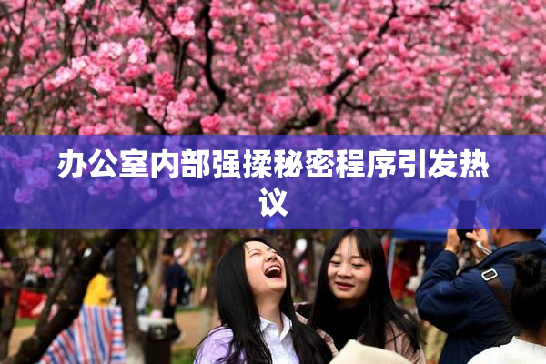 办公室内部强揉秘密程序引发热议