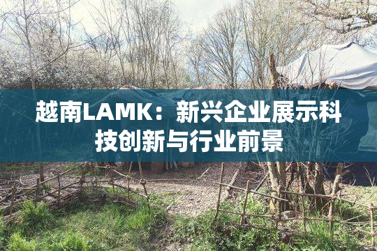 越南LAMK：新兴企业展示科技创新与行业前景