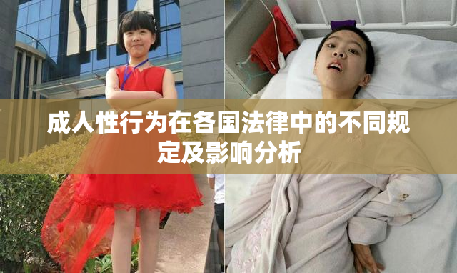 成人性行为在各国法律中的不同规定及影响分析