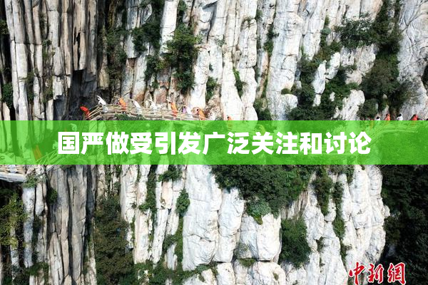 国严做受引发广泛关注和讨论