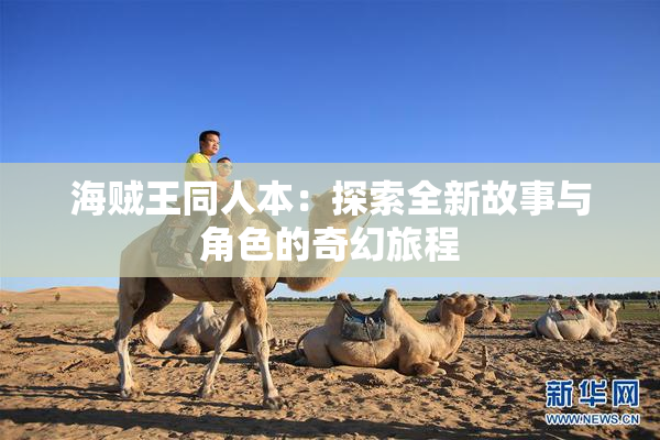 海贼王同人本：探索全新故事与角色的奇幻旅程