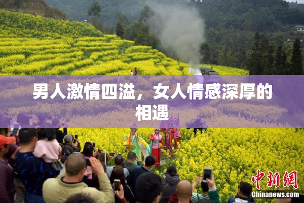 男人激情四溢，女人情感深厚的相遇
