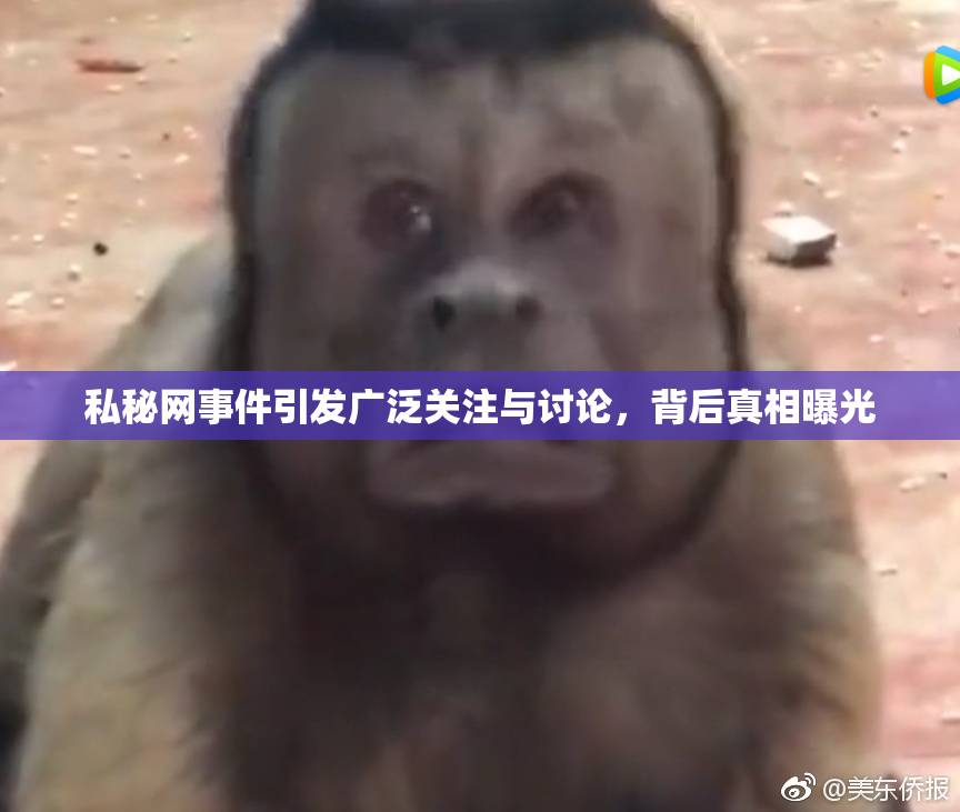 私秘网事件引发广泛关注与讨论，背后真相曝光