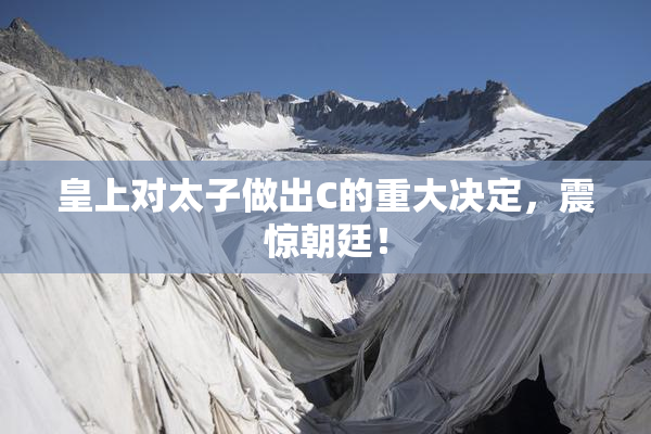 皇上对太子做出C的重大决定，震惊朝廷！