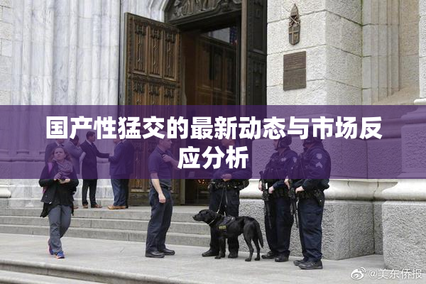国产性猛交的最新动态与市场反应分析
