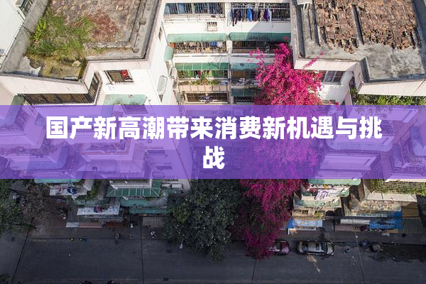 国产新高潮带来消费新机遇与挑战