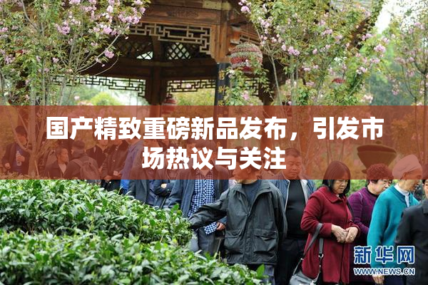 国产精致重磅新品发布，引发市场热议与关注