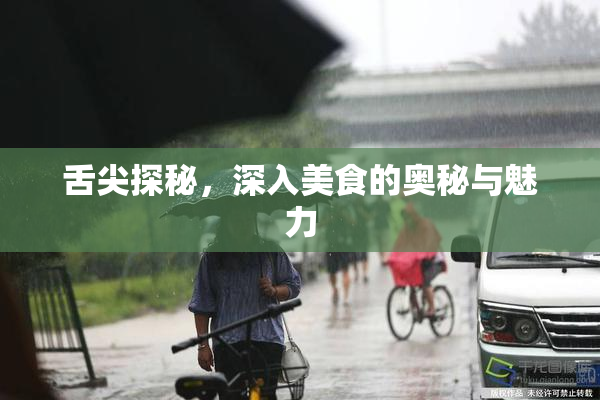 舌尖探秘，深入美食的奥秘与魅力
