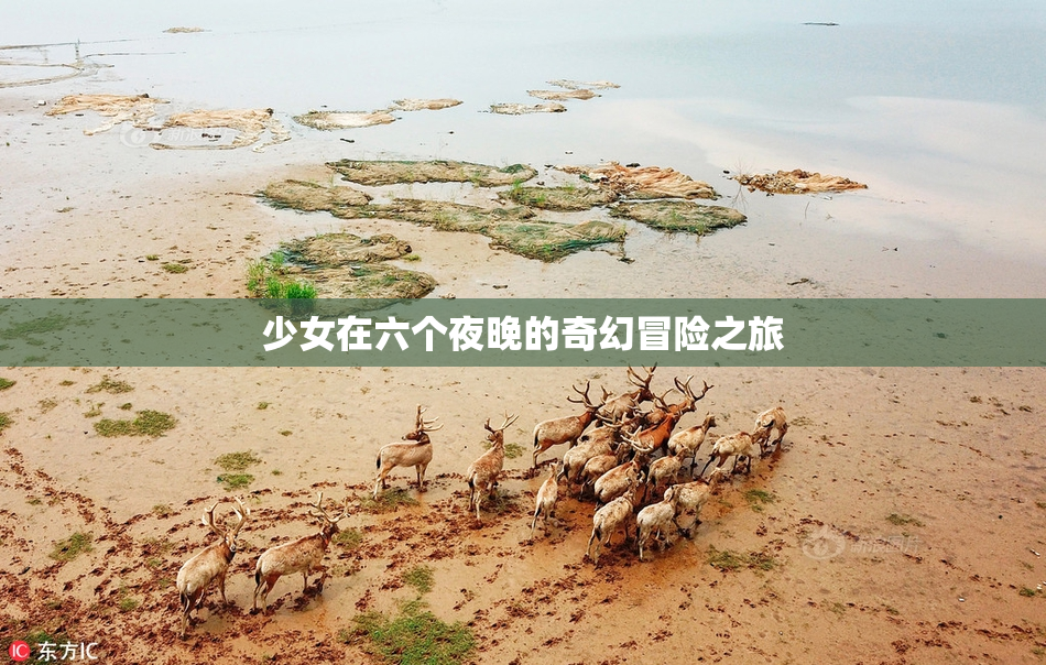 少女在六个夜晚的奇幻冒险之旅