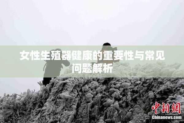 女性生殖器健康的重要性与常见问题解析