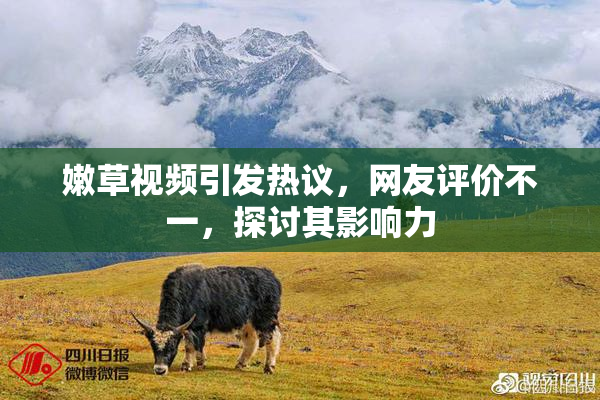 嫩草视频引发热议，网友评价不一，探讨其影响力