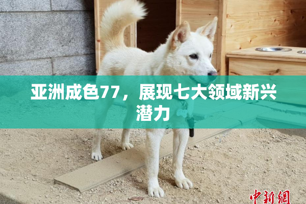 亚洲成色77，展现七大领域新兴潜力