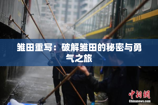 雏田重写：破解雏田的秘密与勇气之旅