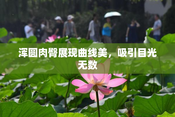 浑圆肉臀展现曲线美，吸引目光无数
