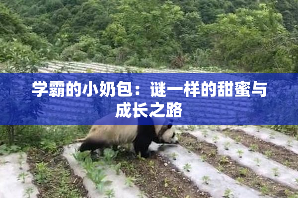 学霸的小奶包：谜一样的甜蜜与成长之路