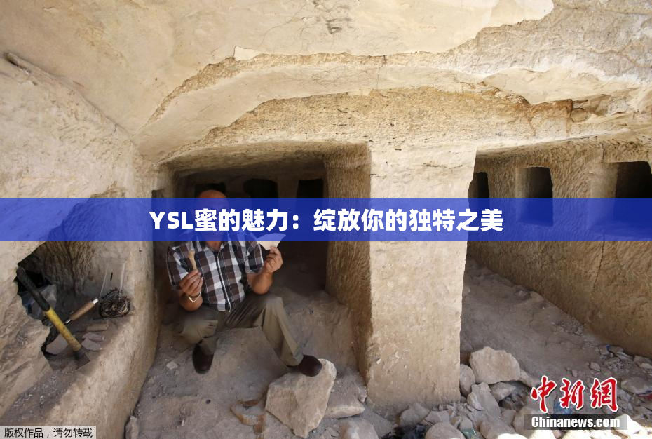YSL蜜的魅力：绽放你的独特之美