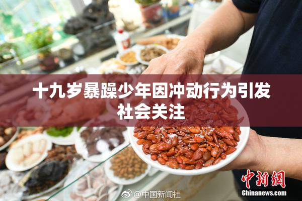 十九岁暴躁少年因冲动行为引发社会关注
