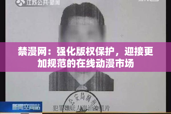 禁漫网：强化版权保护，迎接更加规范的在线动漫市场