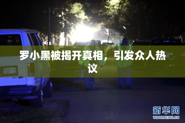 罗小黑被揭开真相，引发众人热议