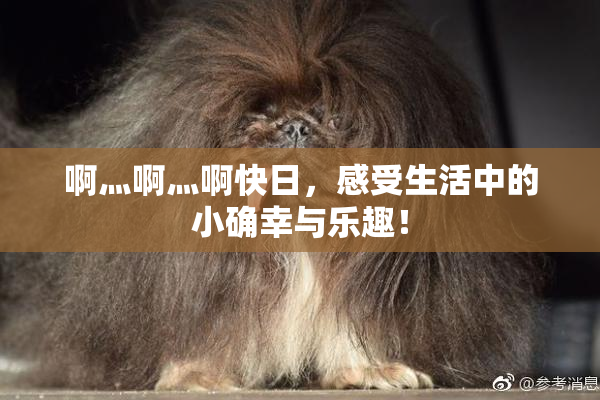 啊灬啊灬啊快日，感受生活中的小确幸与乐趣！