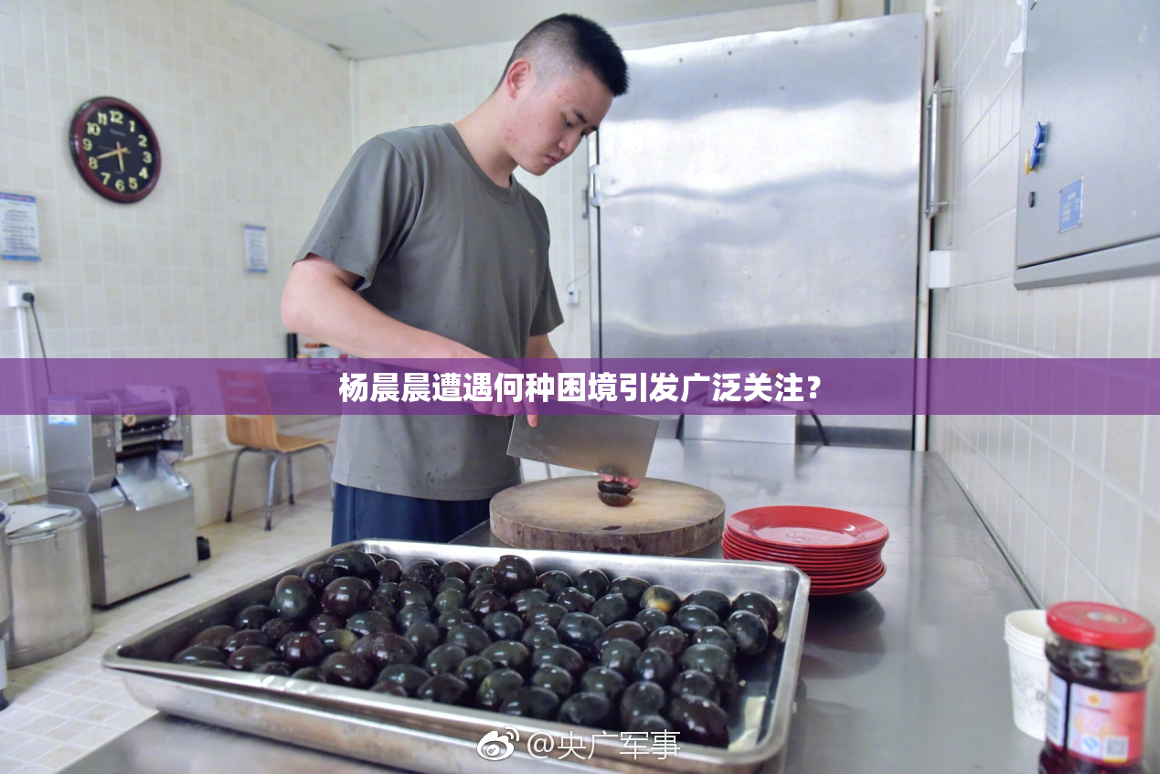 杨晨晨遭遇何种困境引发广泛关注？