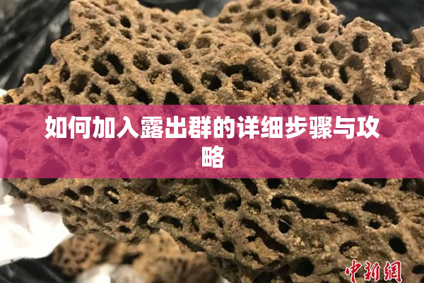如何加入露出群的详细步骤与攻略