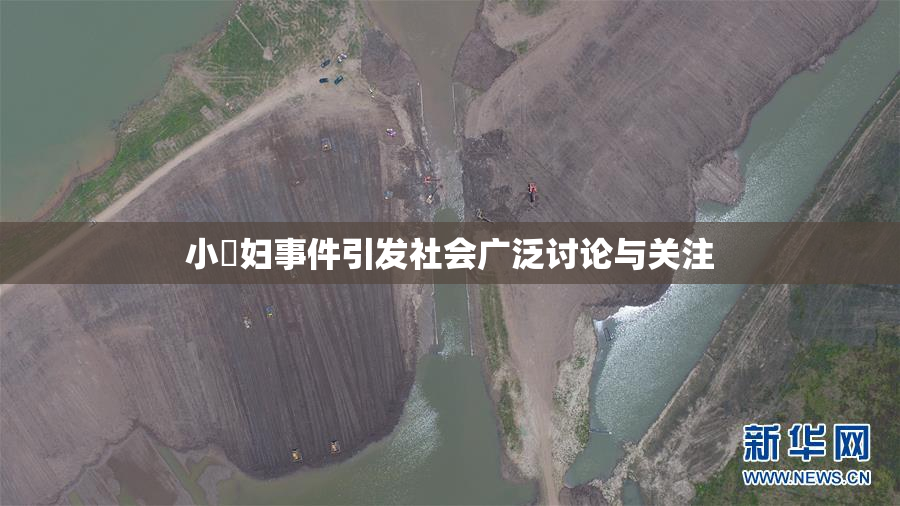 小婬妇事件引发社会广泛讨论与关注