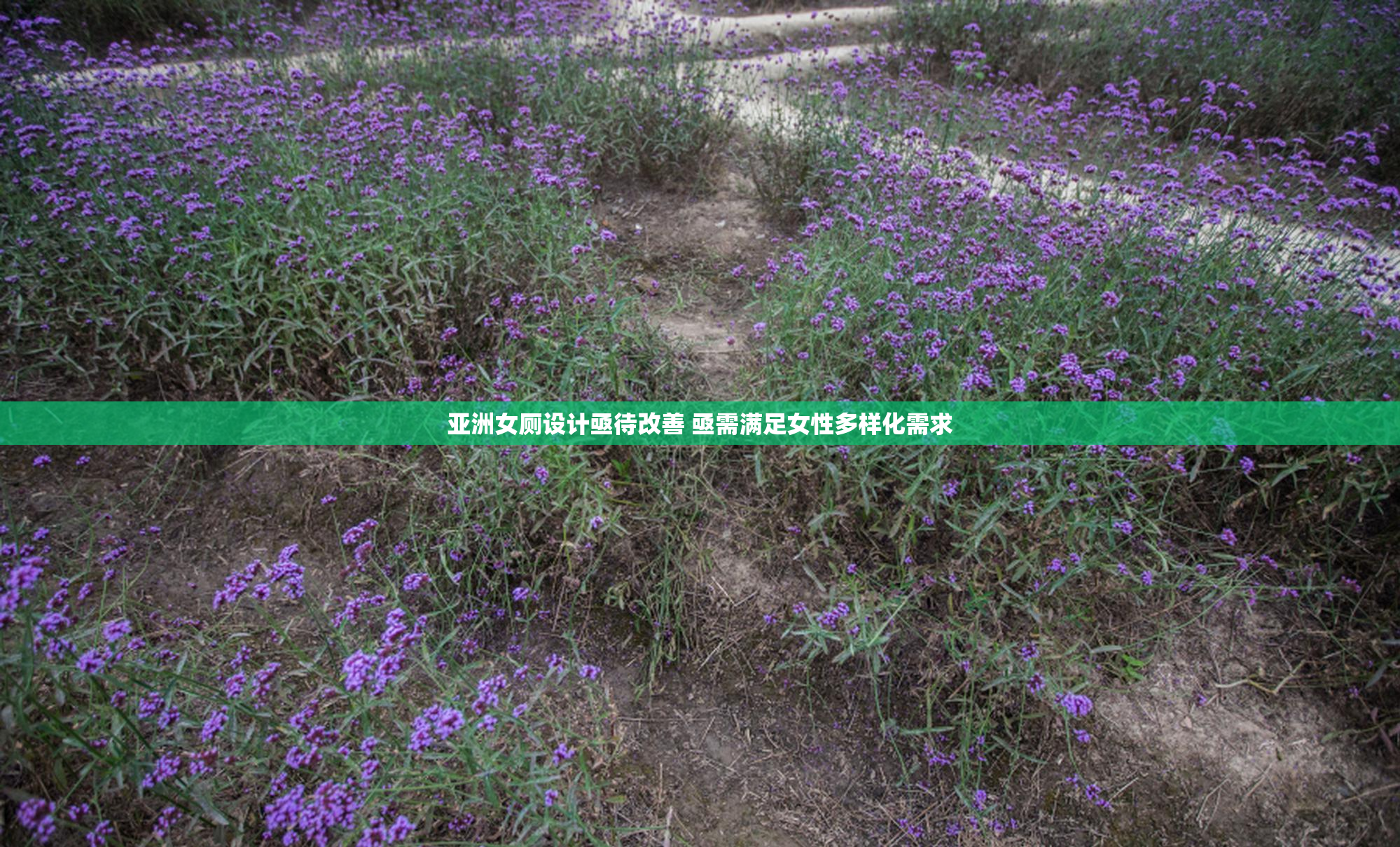 亚洲女厕设计亟待改善 亟需满足女性多样化需求
