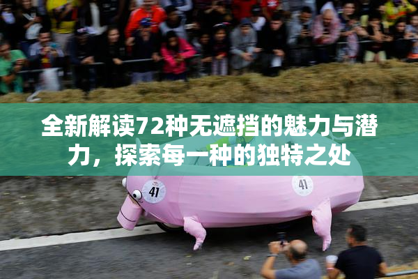 全新解读72种无遮挡的魅力与潜力，探索每一种的独特之处