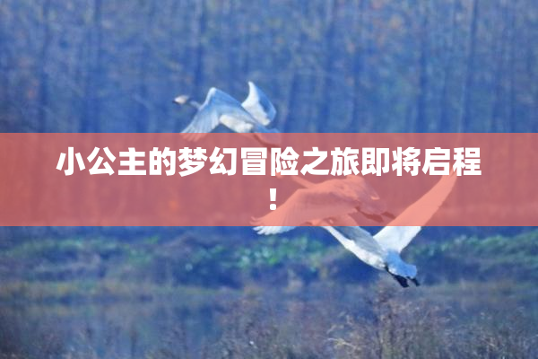 小公主的梦幻冒险之旅即将启程！