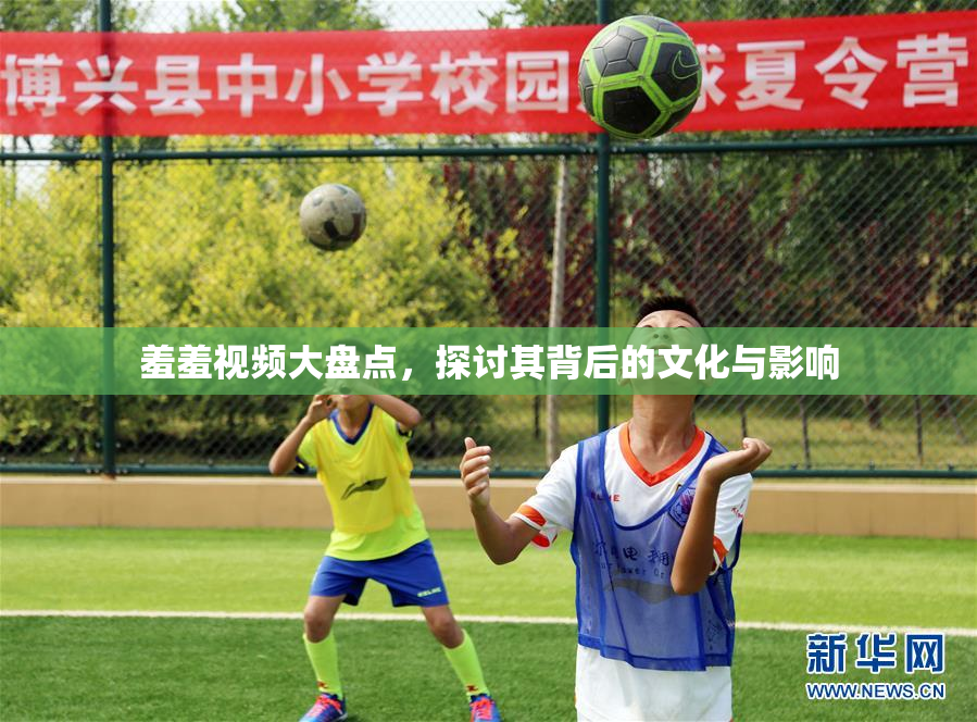 羞羞视频大盘点，探讨其背后的文化与影响