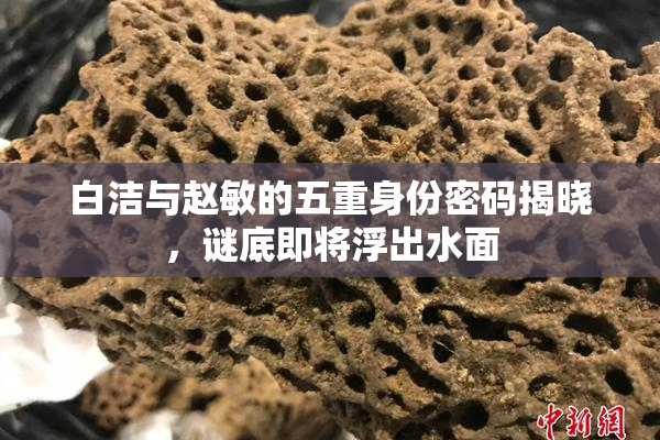 白洁与赵敏的五重身份密码揭晓，谜底即将浮出水面