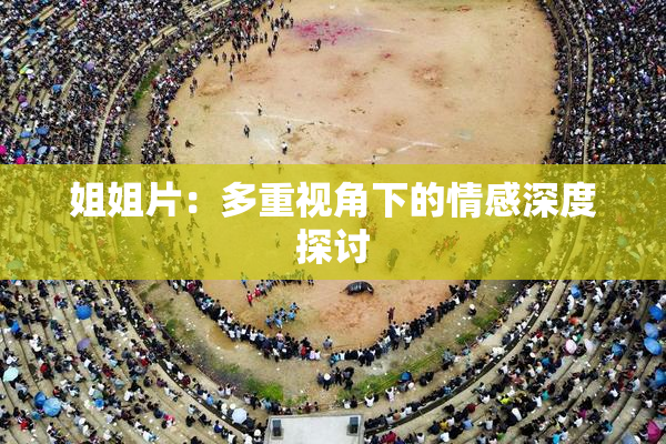 姐姐片：多重视角下的情感深度探讨