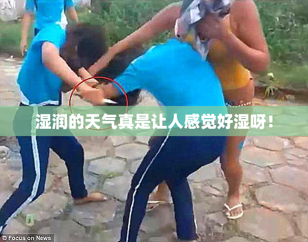 湿润的天气真是让人感觉好湿呀！